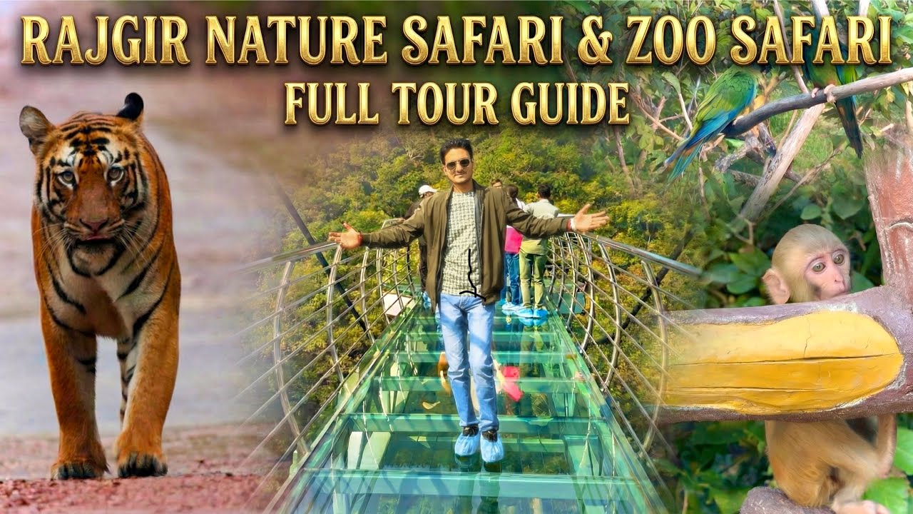 Rajgir Nature Safari: Itna Kuch Hai Yahan? 😱 | Glass Bridge to Zoo Safari Full Vlog |@dsvlogsbihar1 