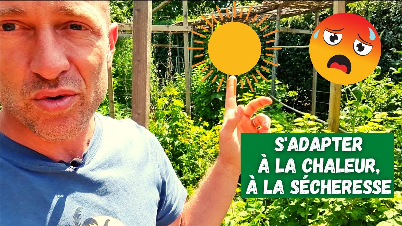 Tour du potager avant l'été mais avec déjà de fortes chaleurs - 20 mai 2022