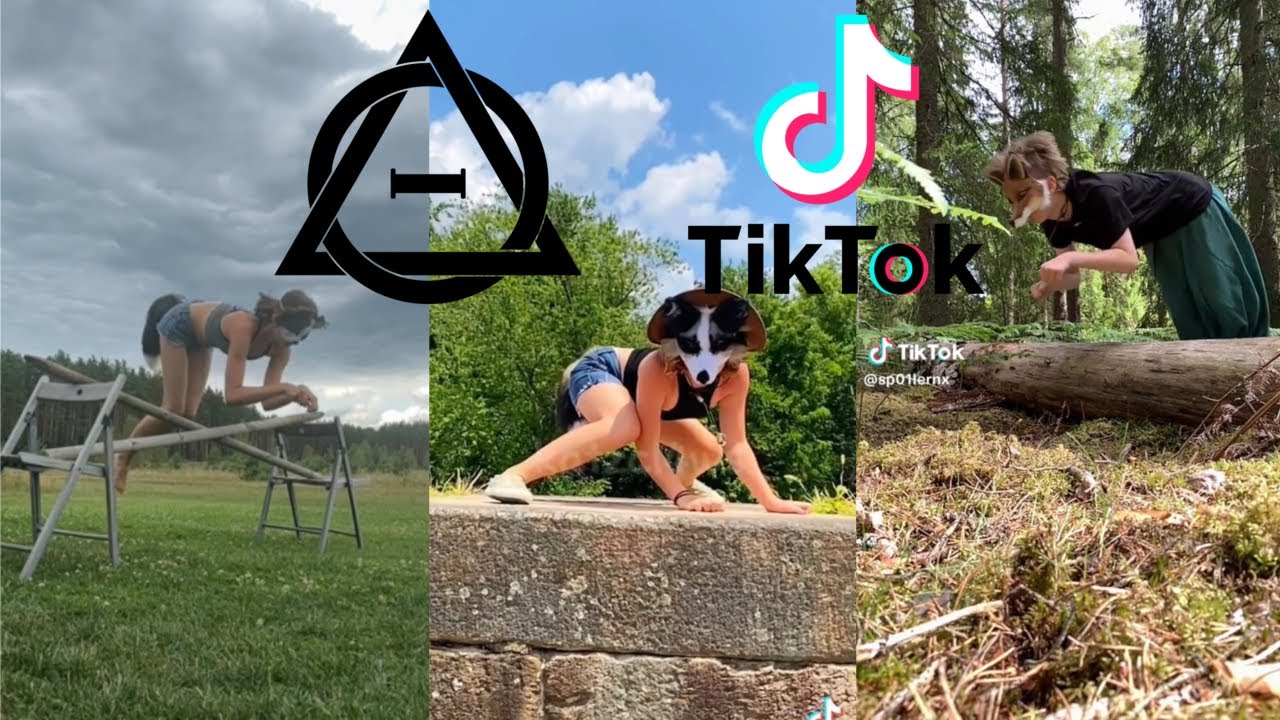 Therian and Quadrobics TikToks || Compilation 🐾🍂 || Alterhumans of TikTok #22