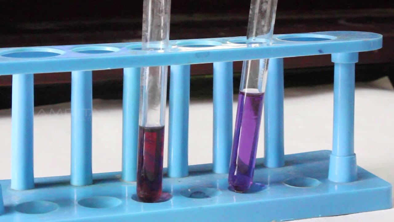 To Study the Properties of Acids and Bases - MeitY OLabs