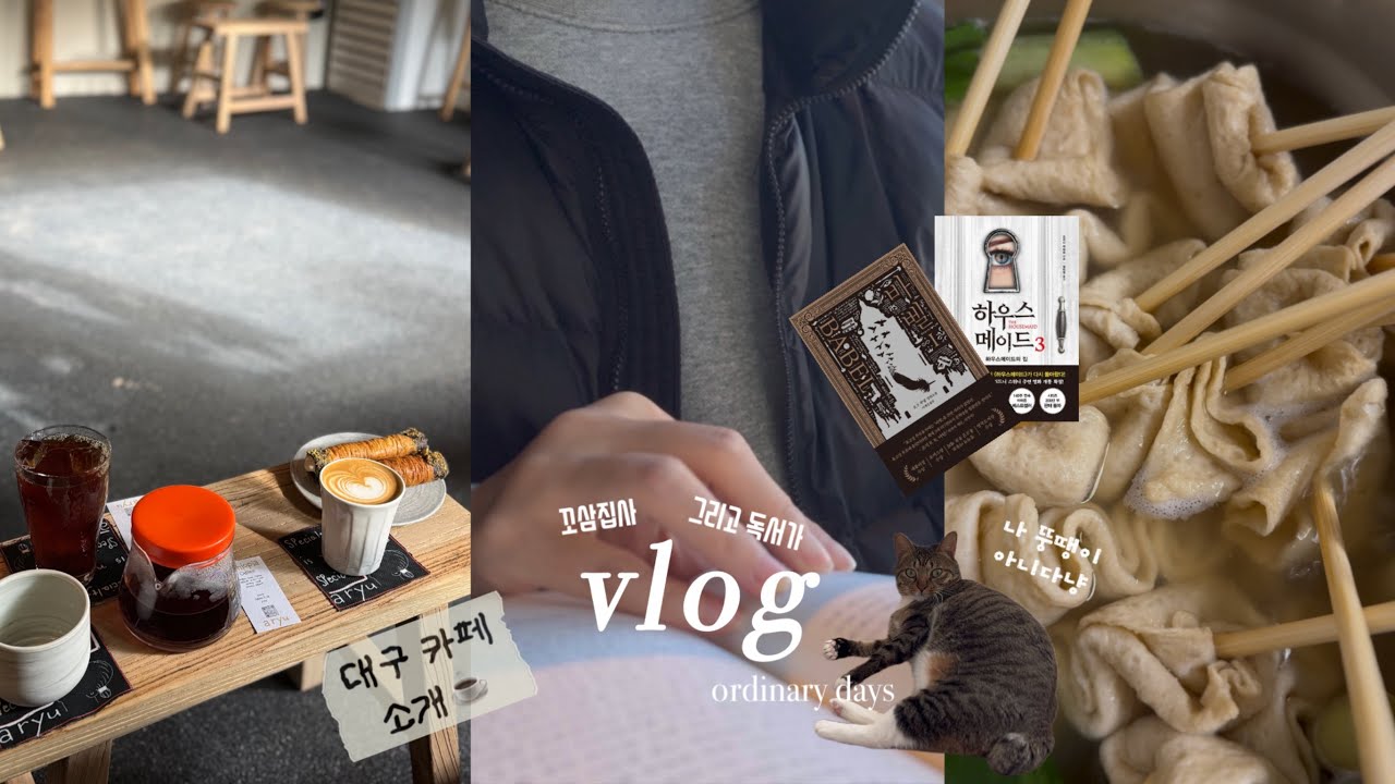 vlog | 독서브이로그 | 뛰고 먹을 땐 신났지 미래를 모르는 자 | 바벨 하우스메이드3 | 재미보장 도파민 팡팡 | 꼬마고양이와 함께하는 일상 | ordinary days