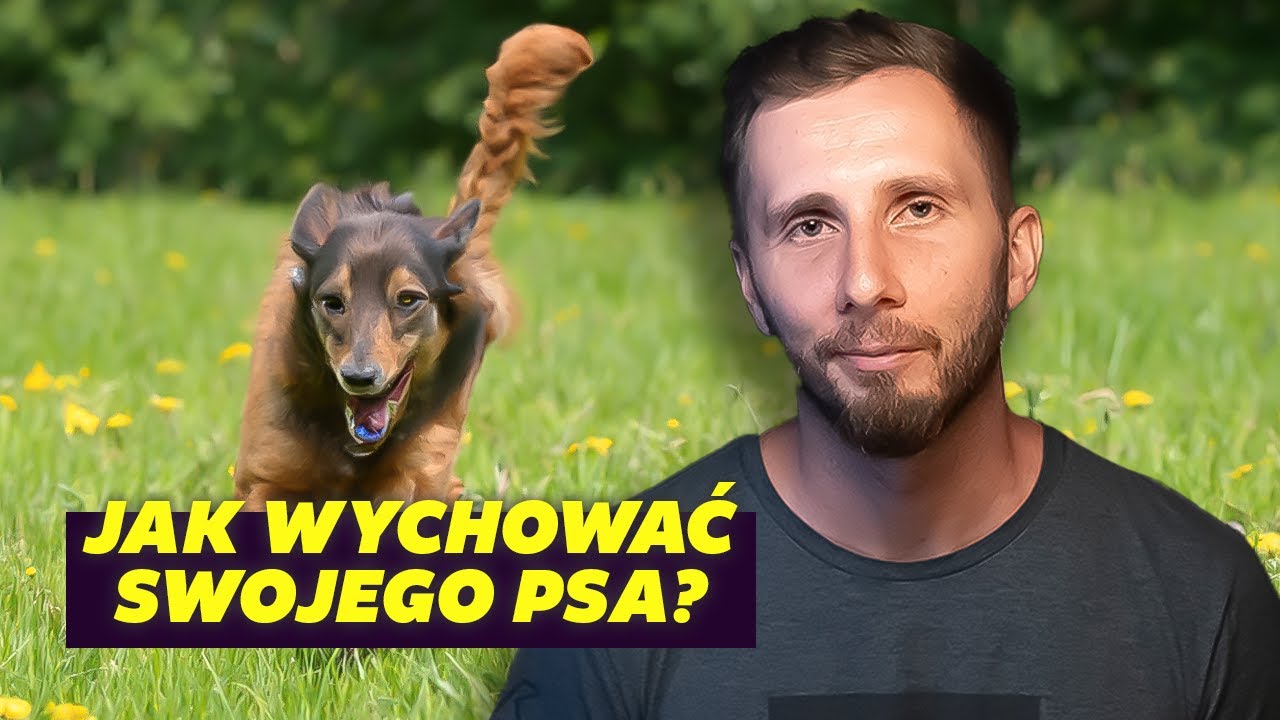 KULISY zawodu PSIEGO BEHAWIORYSTY (feat. Czarne Podniebienie) | Podcast Zbiorowy