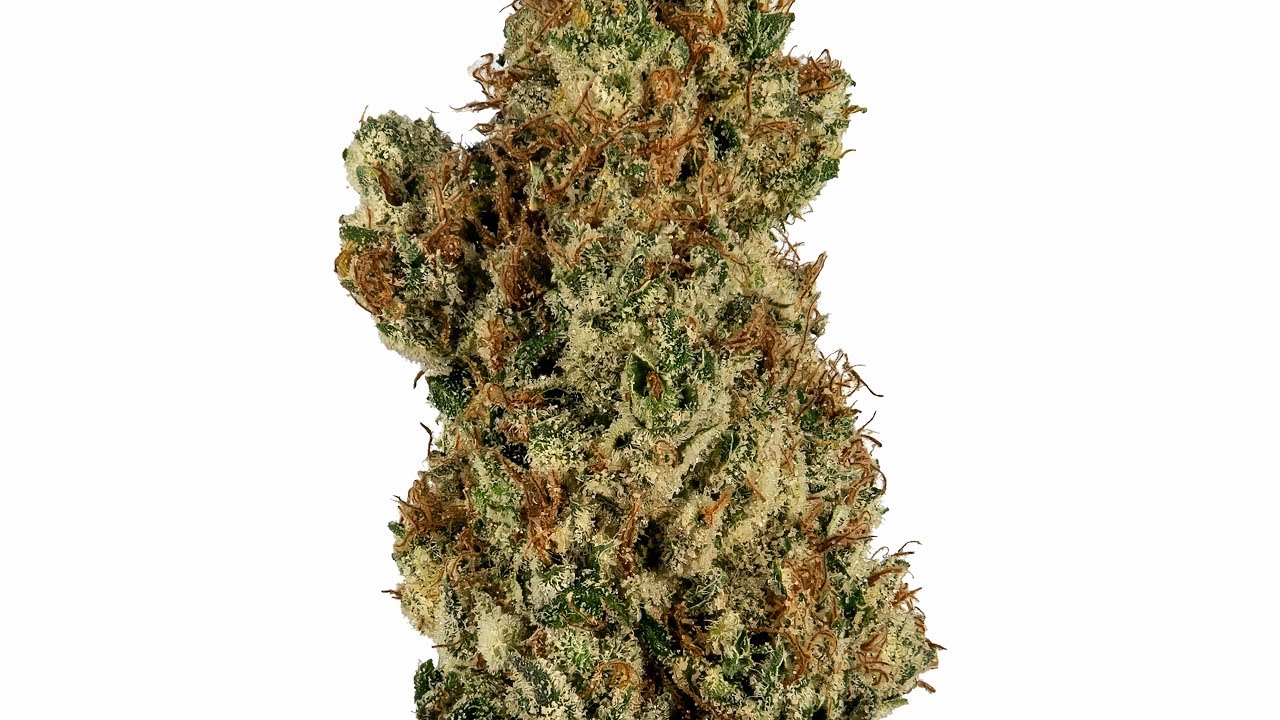Strain Review: L'Orange