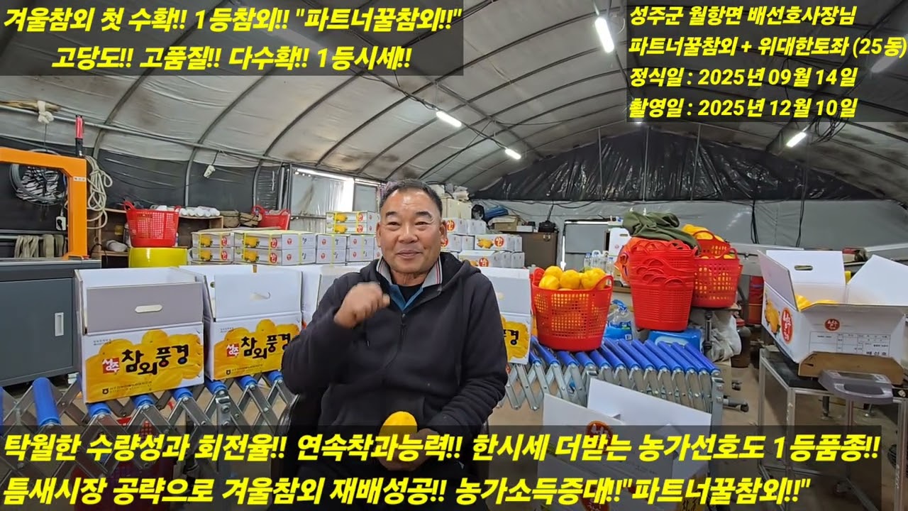 [파트너꿀참외] 겨울참외 첫 수확!! 재배농가!! 유통인!! 소비자!!가 인정한 1등참외!! 