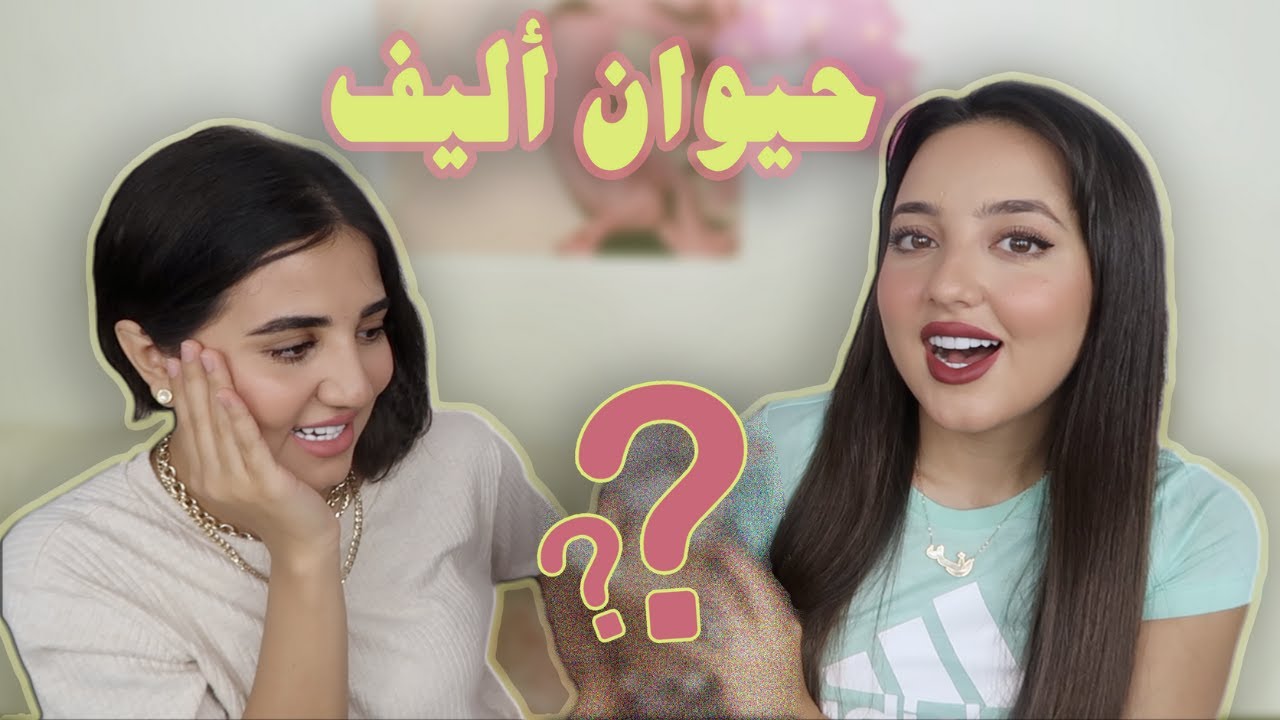 اشترينا حيوان أليف | المتابعين يختاروا😱