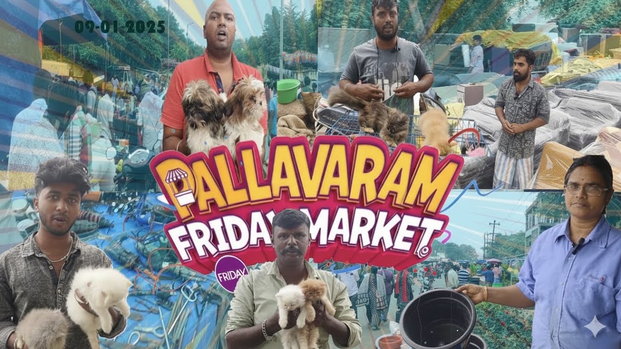 PALLAVARAM FRIDAY MARKET 09-01-2026 😱 Everything  | Full Walkthrough & Budget Deals!