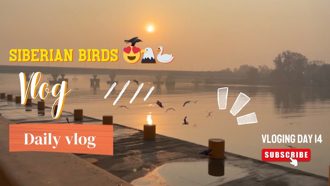 Morning view with Siberian birds 😍🦅🦢|| Vlog Day 15 ||challenge 365days daily uploaded vlog. #vlog  