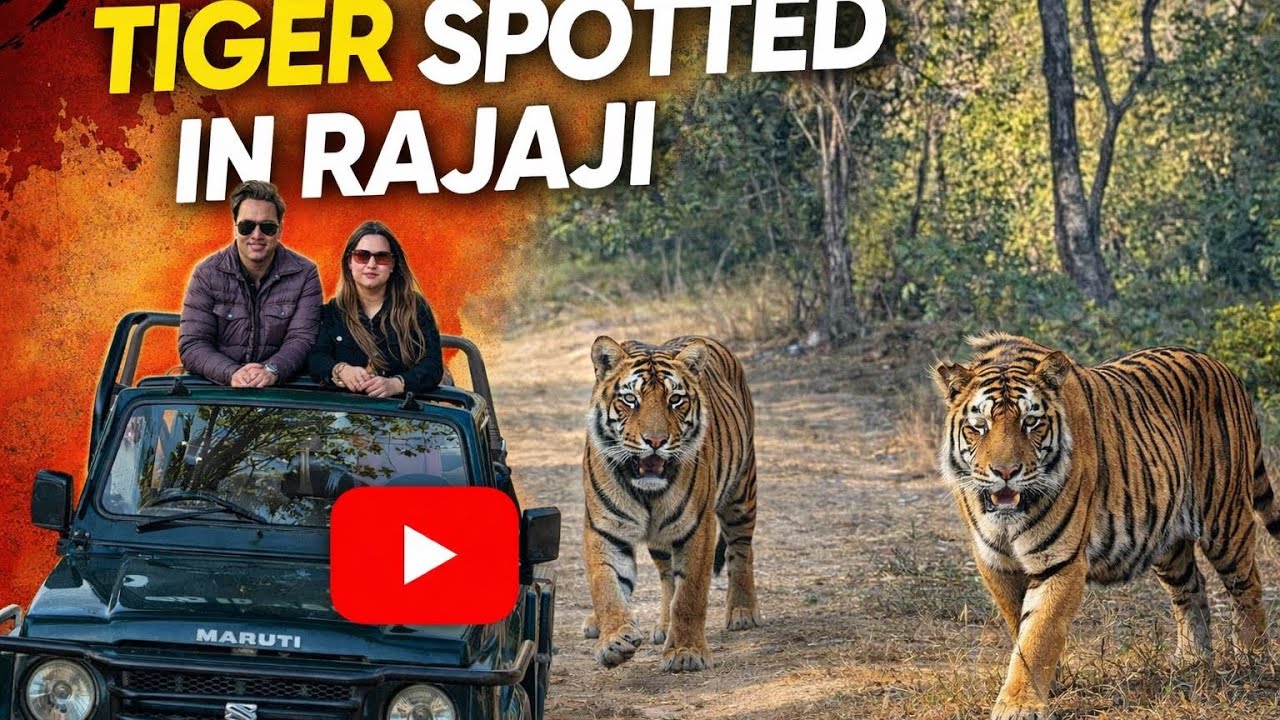 🐅Leopard Spotted on Jungle Safari 😱 | Last Day Adventure You Didn’t Expect😍🌳