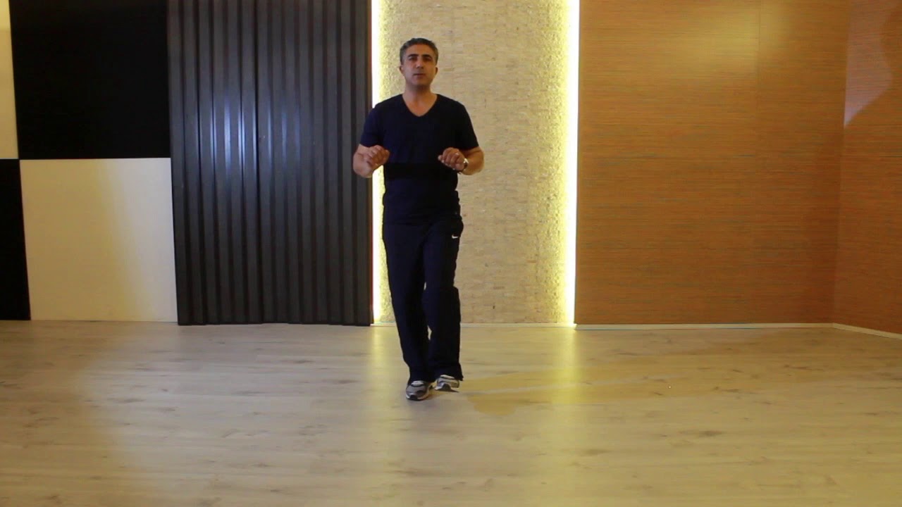 Meyroke Halayı, Van