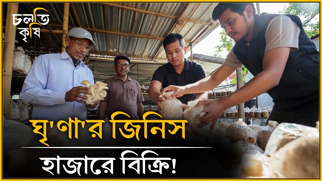 দেশের সব'চে বড় খামার- দেখতে কেমন? | চলতি কৃষি