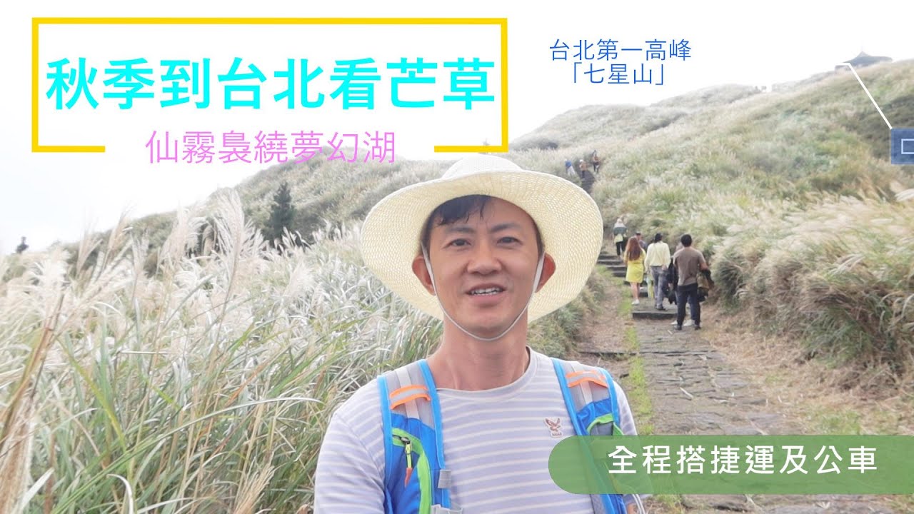 陽明山芒草季! 搭捷運及公車攻略│港仔第一次在台北行山/爬山!! 秋季到台北看芒草、仙霧裊繞夢幻湖：登台北第一高峰「七星山」 │台灣步道初體驗 #愛上台灣368第13集 #芒草季
