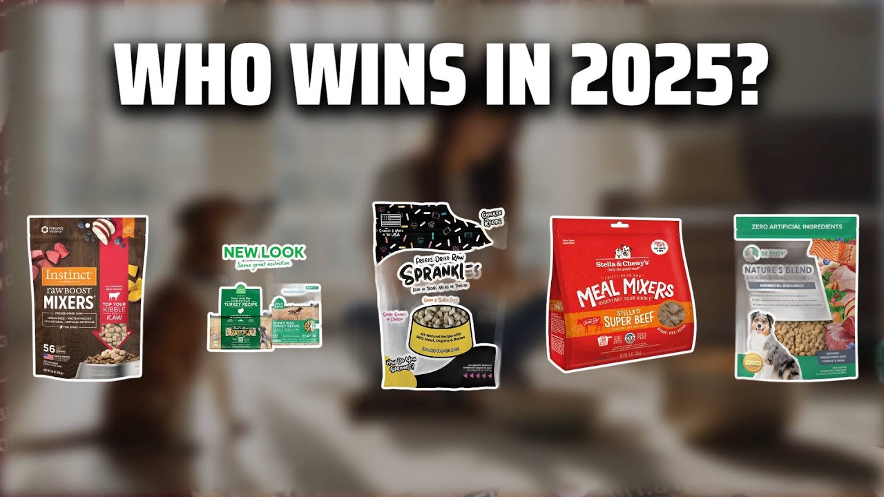 The Top 5 Best Dr.Marty's Freeze Dried Dog Food in 2025 - Must Watch Before Buying!