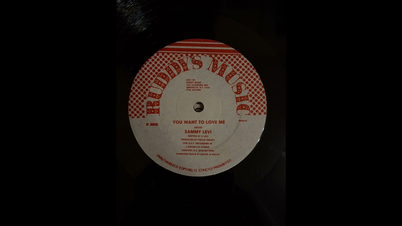Sammy Levi – You Want To Love Me + Version