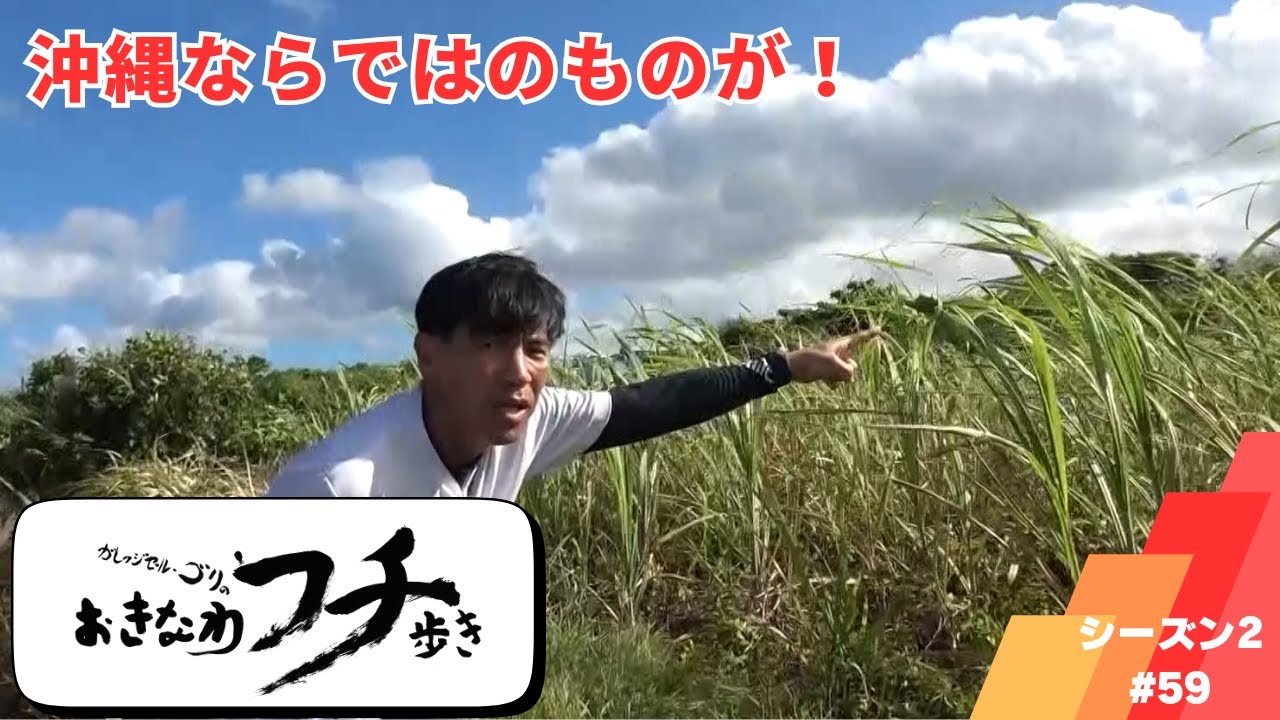 ガレッジセール・ゴリのおきなわフチ歩き　Season2 ＃59　2023年10月8日放送分