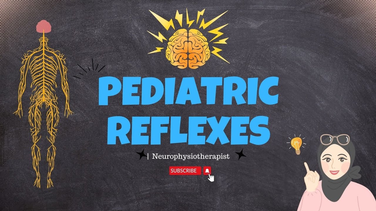 Pediatric Reflexes | Primitive/Neonatal/Spinal | Tonic/Brainstem | Midbrain | Cortical Reactions
