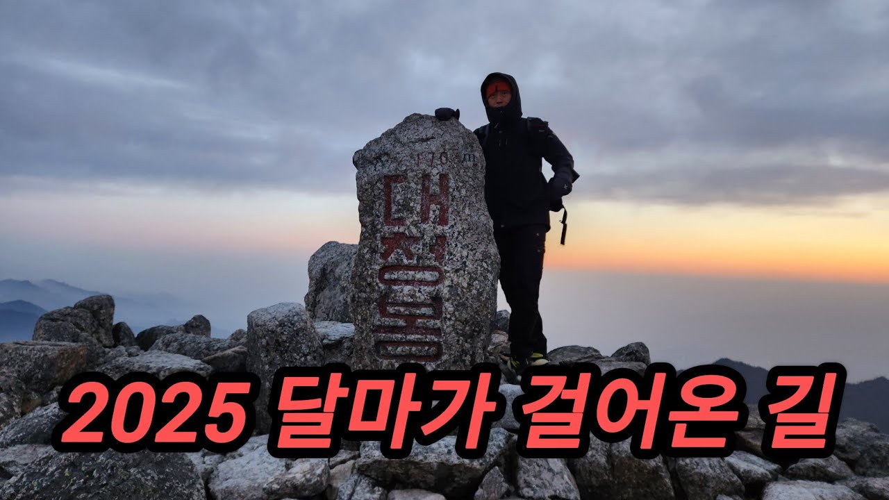 2025  달마가 걸어온 길