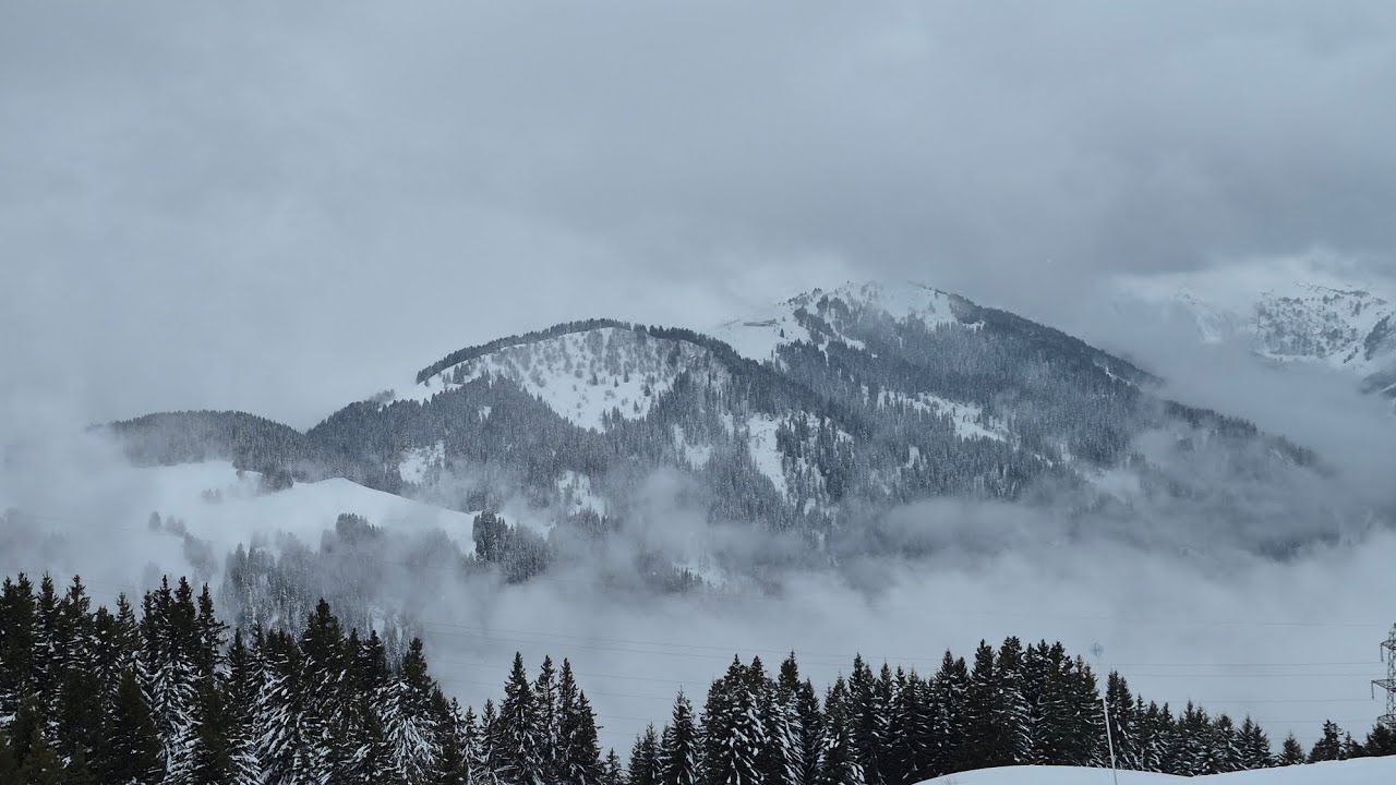 스위스 카니발 구경 | 빵 사러 프랑스 국경 넘어가는 사람 | 스위스 겨울산 스노우슈 등산