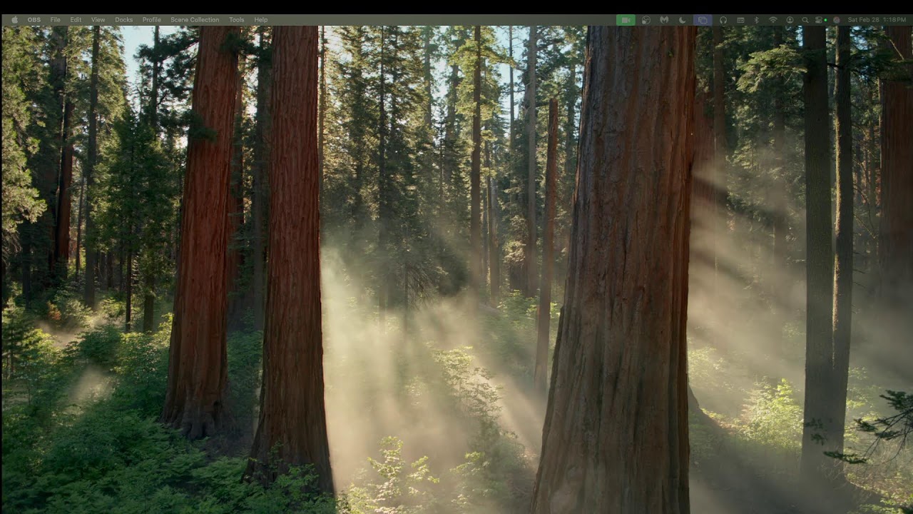 Messiah Church Service\ Test stream, Ignore