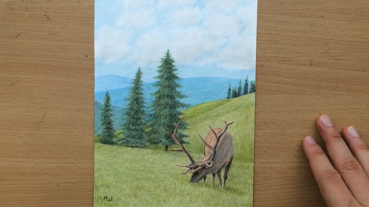 Deer on a Grassy Hill - Colored Pencil Drawing