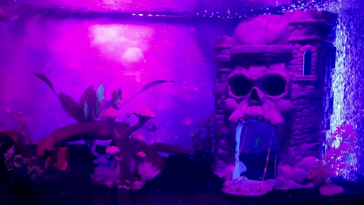 Masters of the Universe, Castle Grayskull