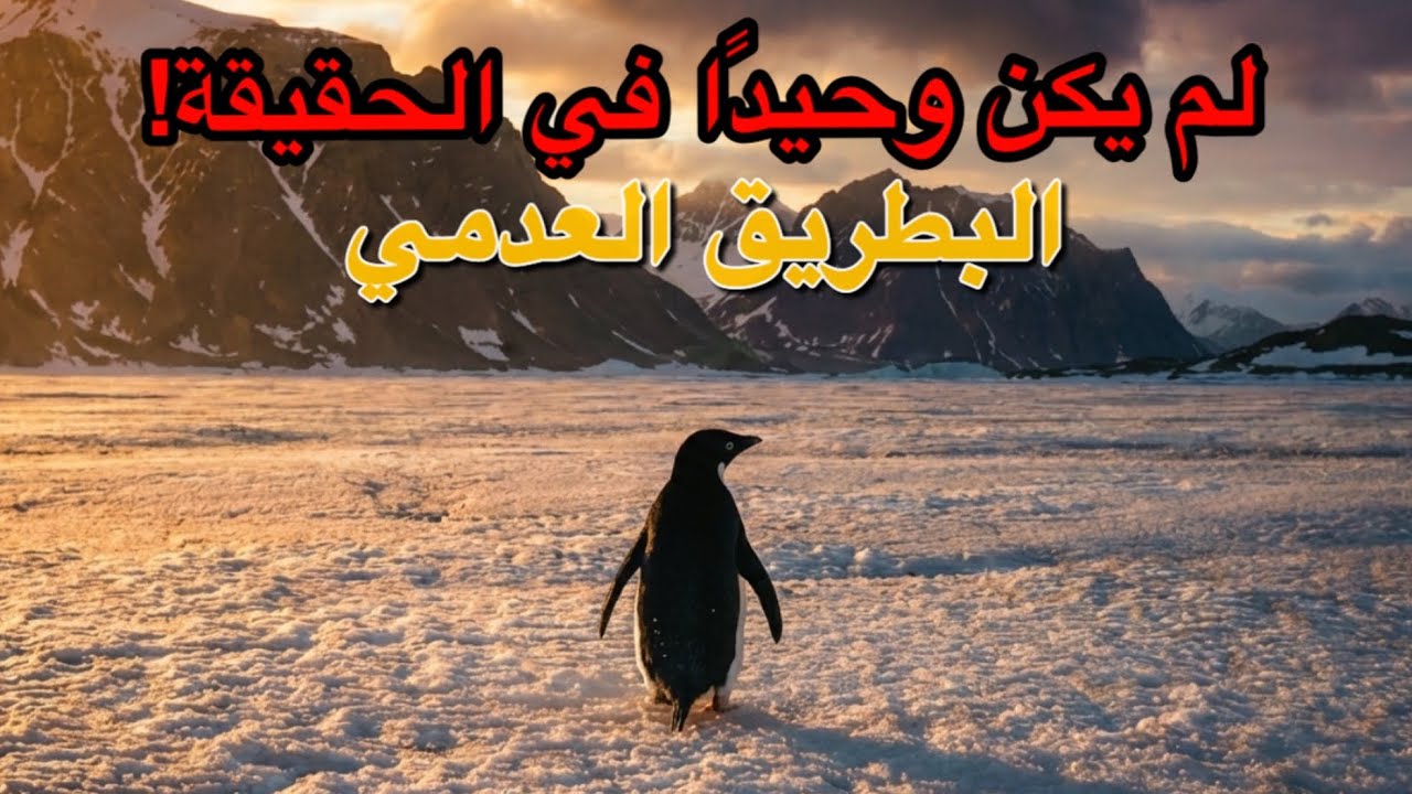 البطريق العدمي لم يكن وحيدًا! – هذه قصة تمرد صامت