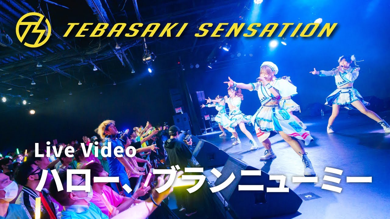 手羽先センセーション『ハロー、ブランニューミー』ライブ映像 (2024/04/27＠Zephyr Hall)【手羽セン】