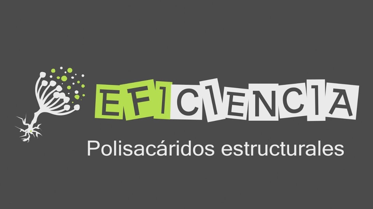 GLÚCIDOS: POLISACÁRIDOS ESTRUCTURALES. Celulosa Quitina Fibra Pared vegetal N-acetilglucosamina