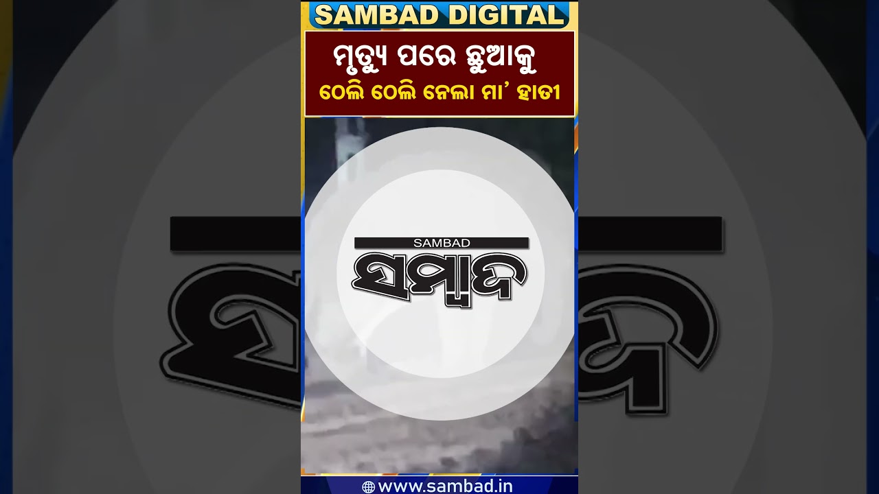 ମୃତ୍ୟୁ ପରେ ଛୁଆକୁ ଠେଲି ଠେଲି ନେଲା ମା ହାତୀ || Sambad