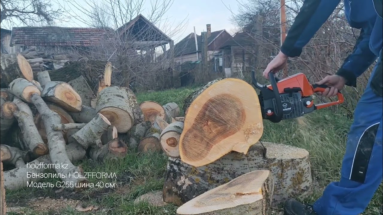 Бензопила HOLZFFORMA G255: удобная и мощная в Алматы Казахстан #семей #семипалатинск #алтай #лесоруб