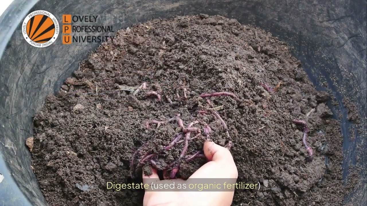 Waste to Energy @scselpu @lpuschoolofchemicalengg.an9469