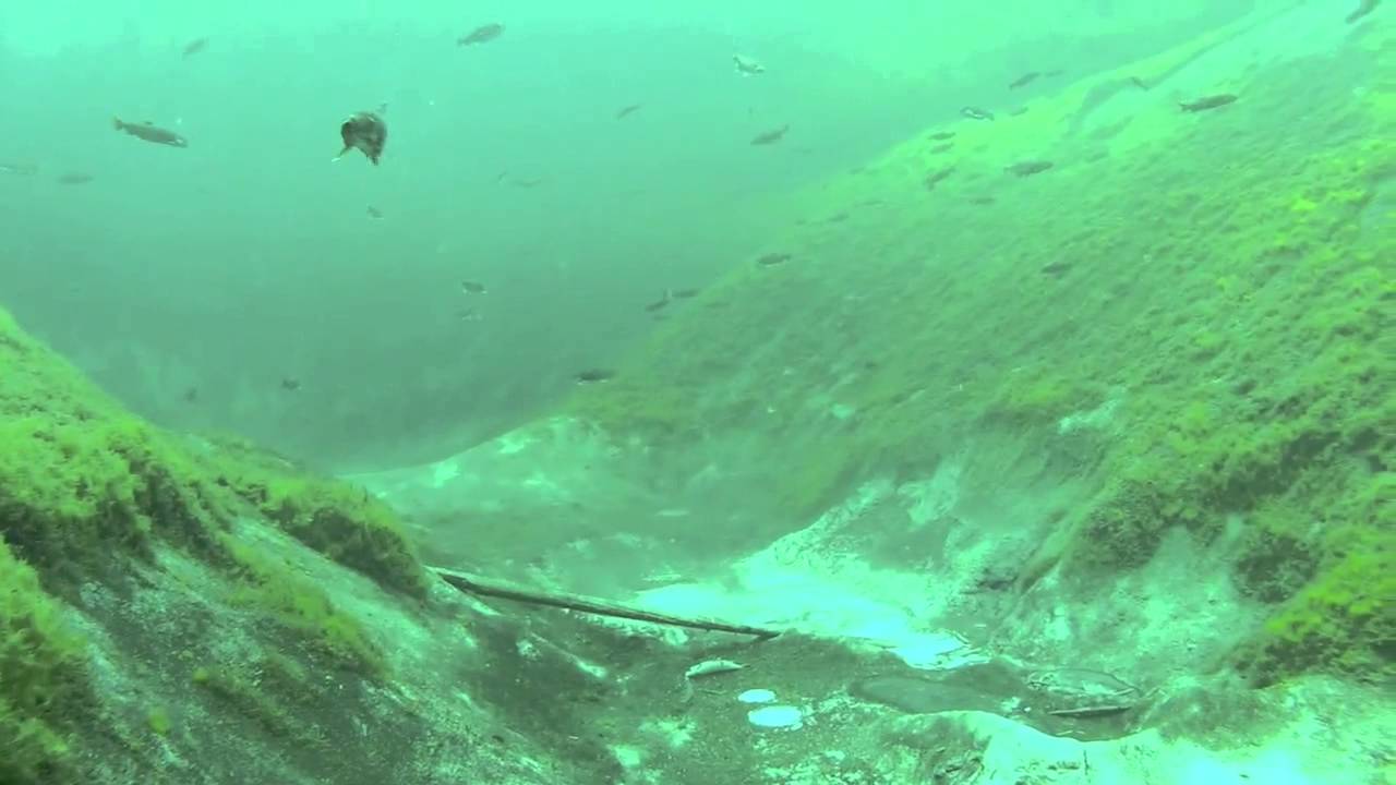 Big Spring Manistique MI - Kitchitikipi Underwater!