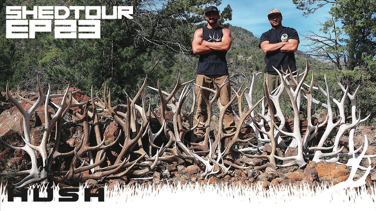 SHED TOUR | EXTREME ELK SHED HUNTING - TOO MANY SHEDS TO PACK OUT | S2E23