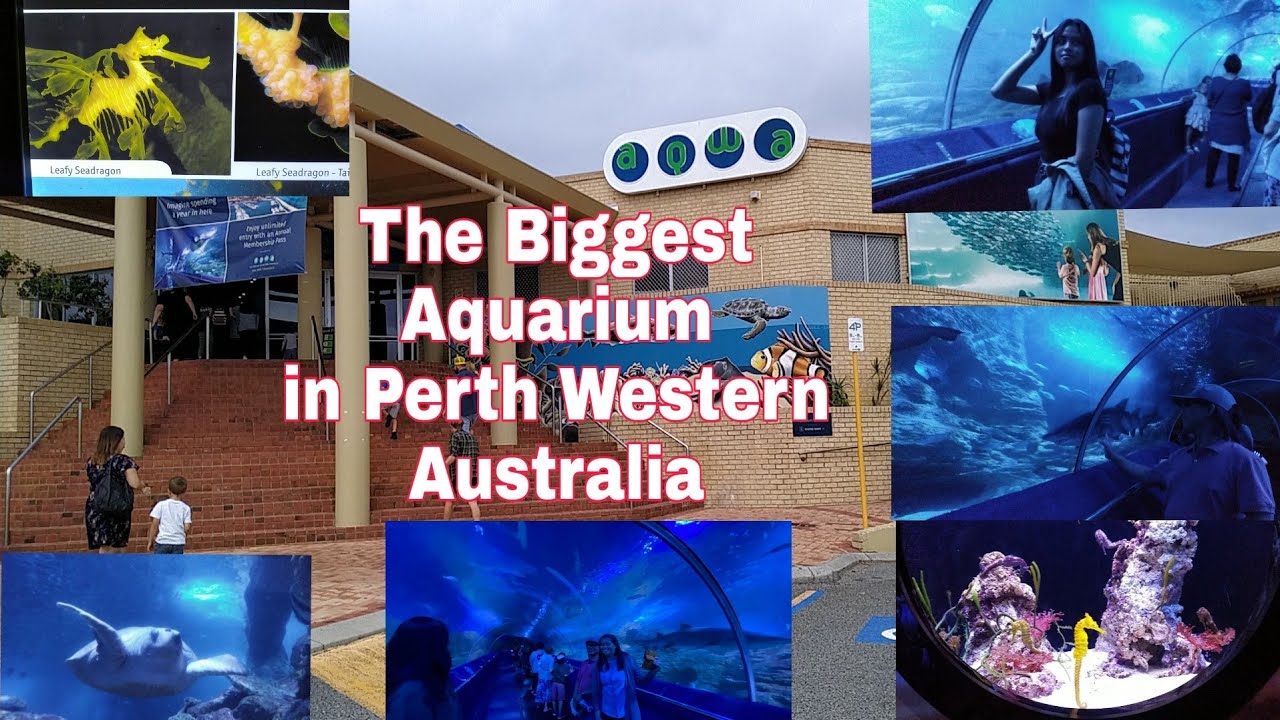AQWA THE BIGGEST AQUARIUM@PERTH AUSTRALIA(#Lykajoyatienza)