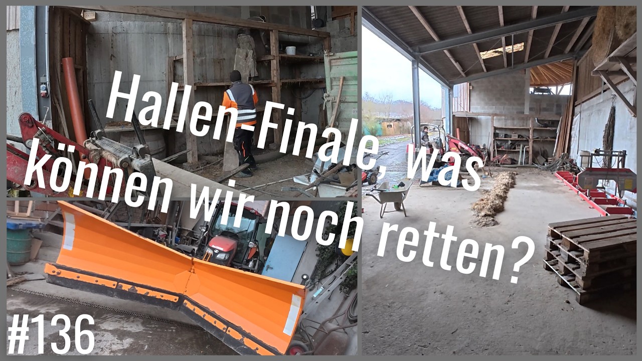 Projekt erfolgreich abgeschlossen! | Vlog #136
