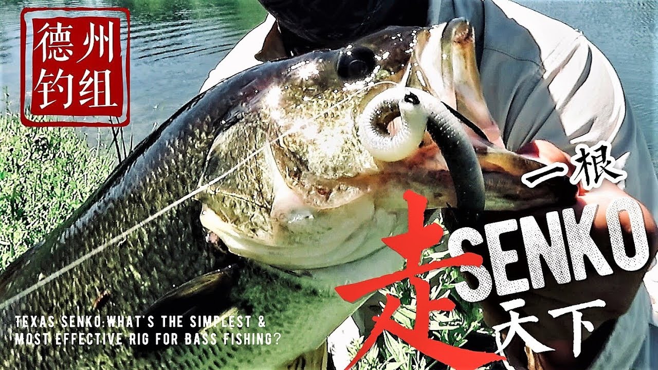 【德州SENKO】一根Senko走天下(上): 最简单有效的大嘴钓组Texas Senko:  the Simplest & Most Effective Rig for Bass Fishing!