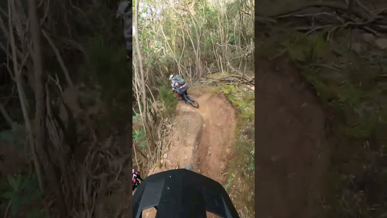 SENTINEL VIPERA PARASSITI ⚫ - Monte Argentario Trail Area