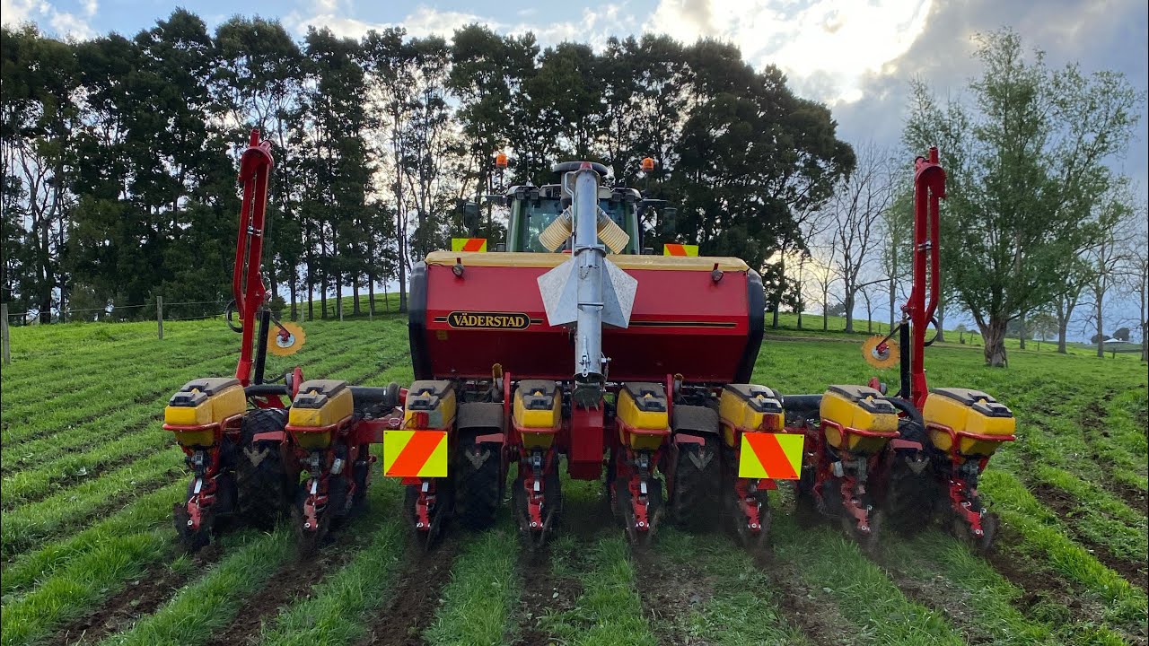 I’m Direct Drilling My Maize Crop This Year!