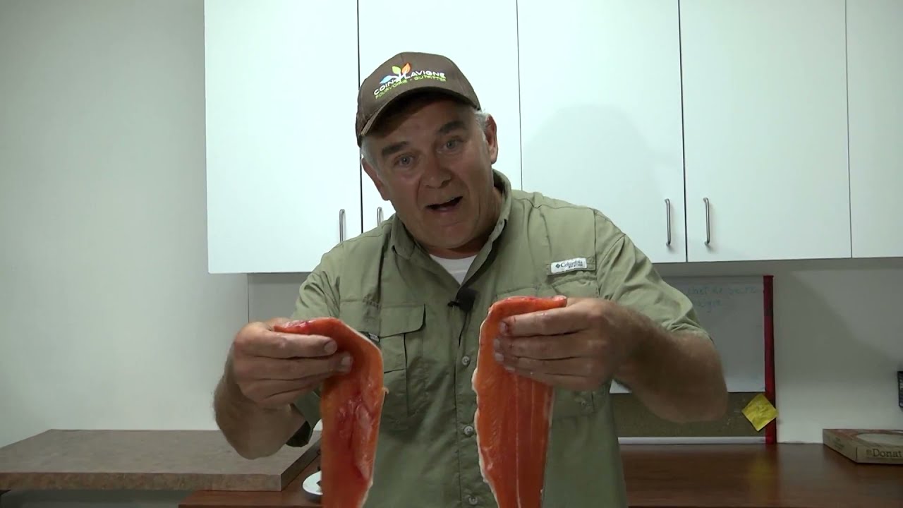 Technique de filetage des poissons (grosses Arc-en-ciel)