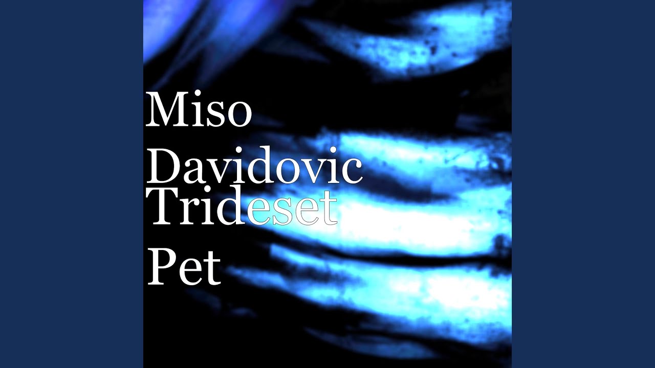 Trideset Pet