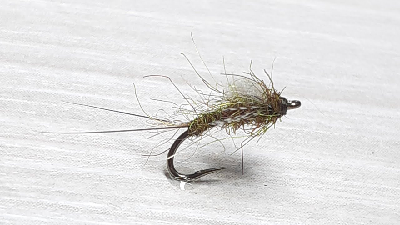 Baetis emerger -  Emergente de bétido.