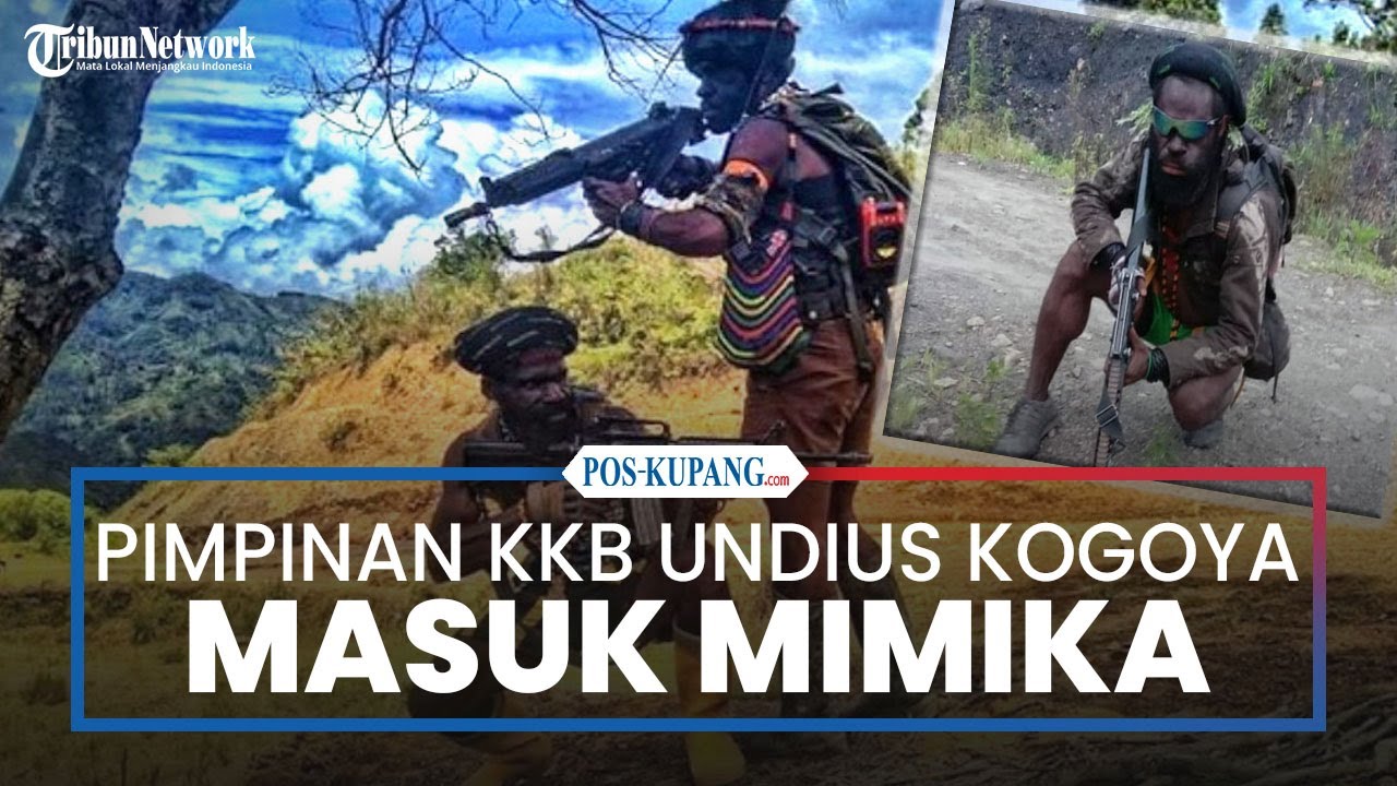 Beredar Informasi Pimpinan KKB Undius Kogoya Masuk Wilayah Mimika