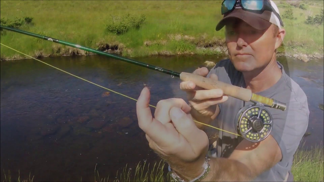 Winston rods, Pure Water, 