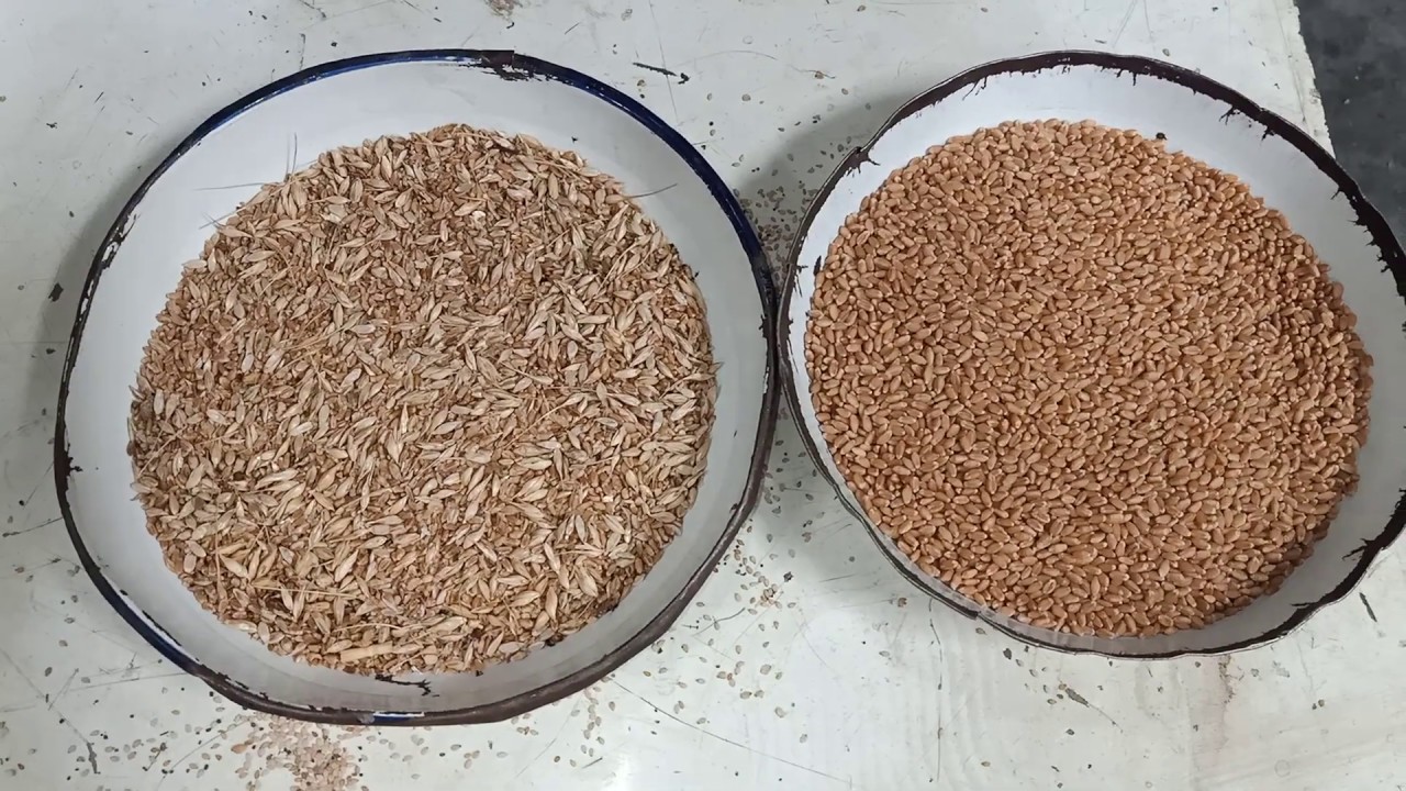 wheat cleaning plant made by perfect Technology