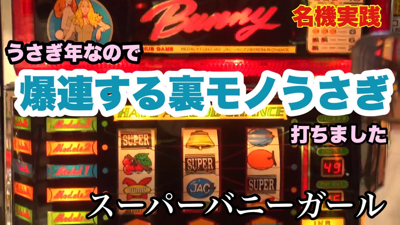 【うさぎ年に裏バニー】ガラパゴス実践記＃5【スーパーバニーガール】