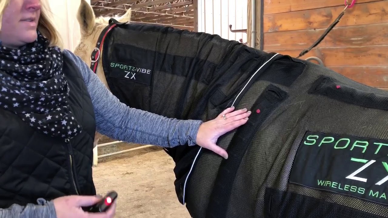 Rambo Sportz-Vibe ZX Product Spotlight