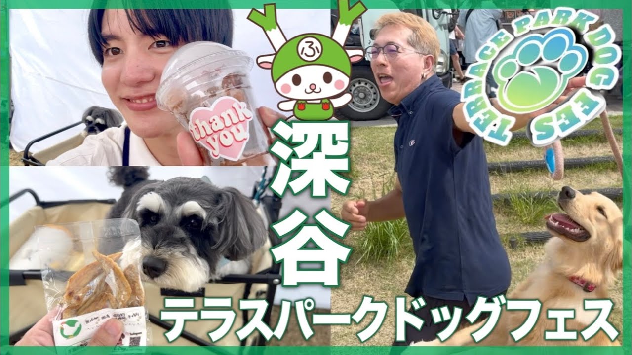【深谷】テラスパークドッグフェスが最高すぎた‼️