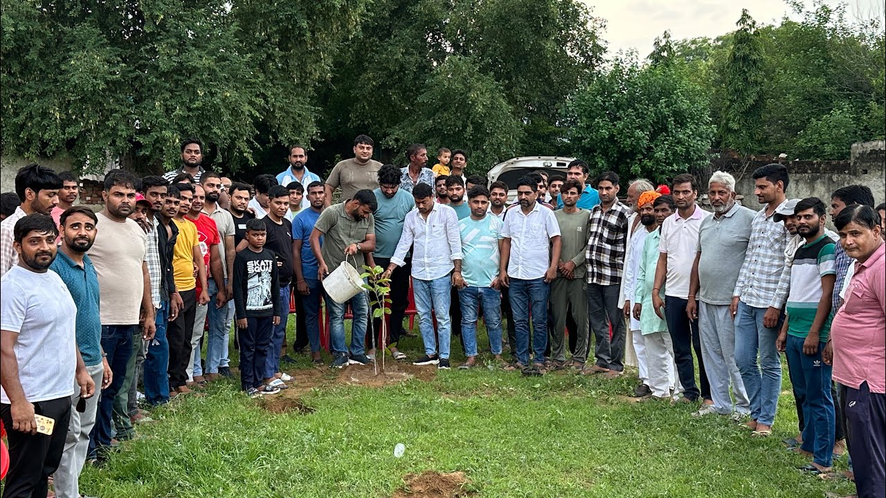 पौधा रोपण करते समय क्या सावधानी रखें🤔🌱 what precautions should be taken while planting a tree? #jhn
