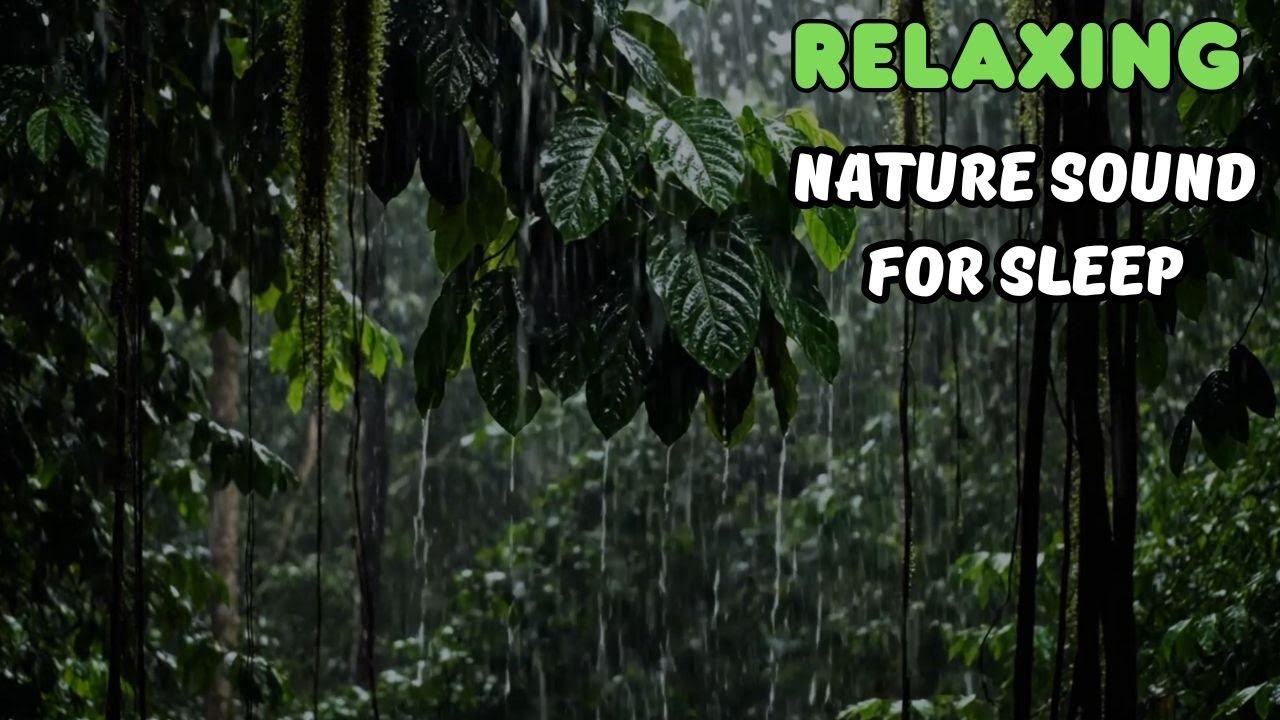 Pure Jungle Rainfall 🌧️ | Relax, Unwind & Sleep Peacefully
