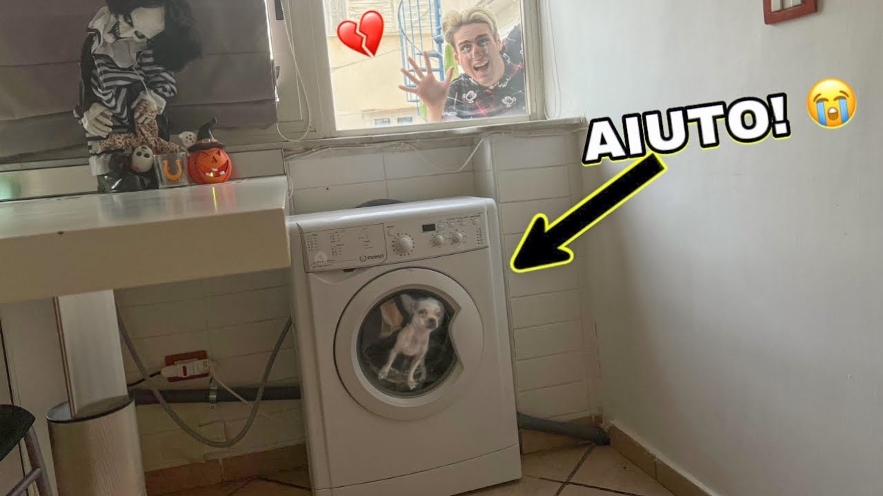 IL NOSTRO CAGNOLINO SI È INCASTRATO DENTRO LA LAVATRICE!! *non uscirà mai più*