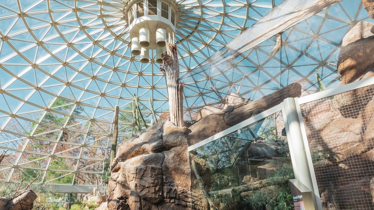 Zoo EDventures: A Stroll Through The Desert Habitat